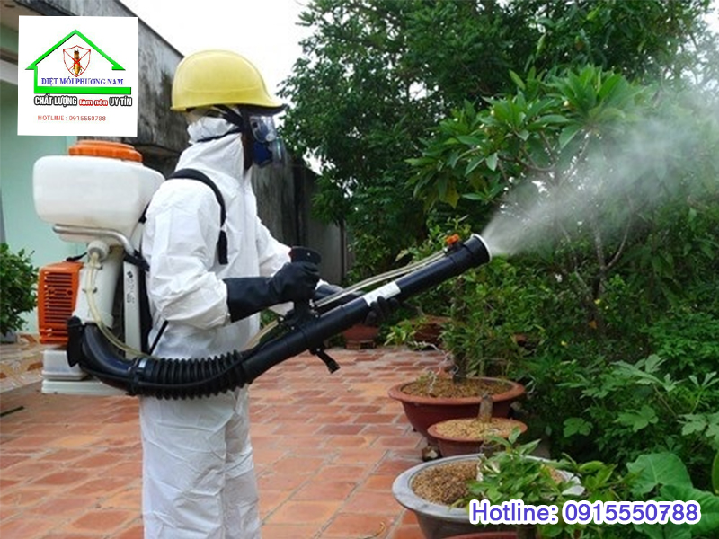 Những lưu ý quan trọng cần biết khi phun thuốc diệt muỗi