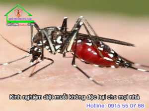 diệt muỗi không độc hại